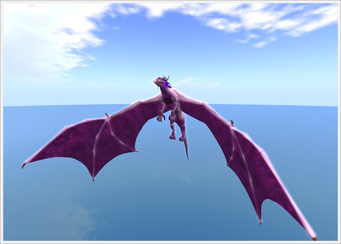 Relay For Life 2013  (36)